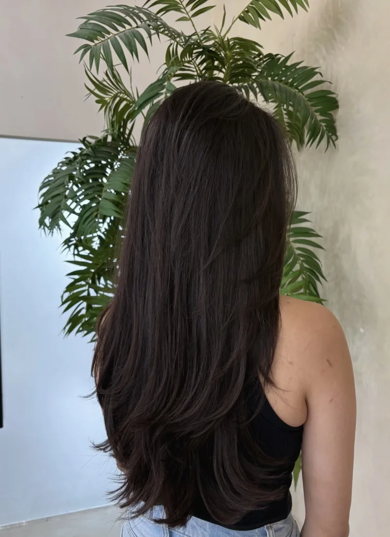 Long straight dark hair with softly curved layered ends, viewed from behind.